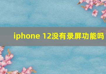 iphone 12没有录屏功能吗